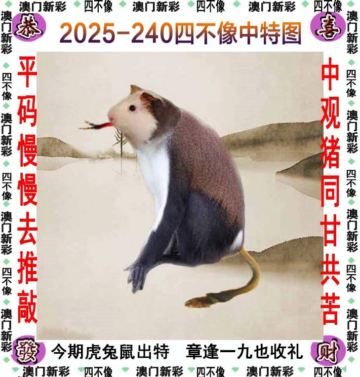 四不像图 2025-240期