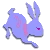 兔
